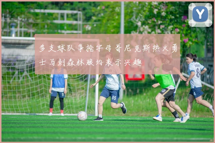 多支球队争抢字母哥尼克斯热火勇士马刺森林狼均表示兴趣